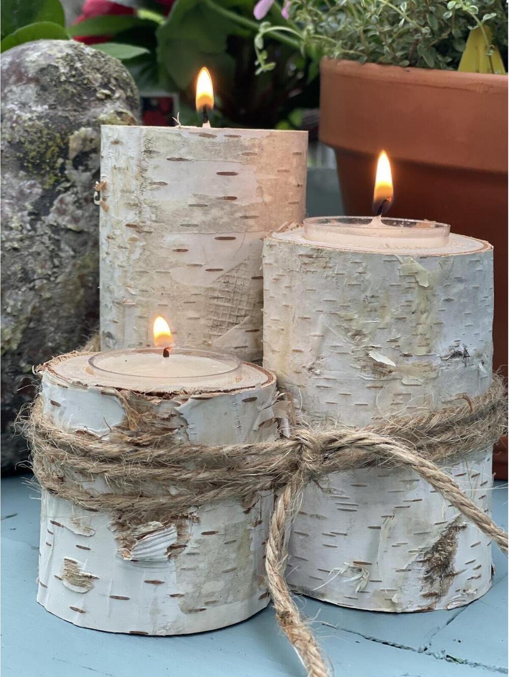 4. Anthropologie Terrain Birch Branch Tea Light Holders Set of :